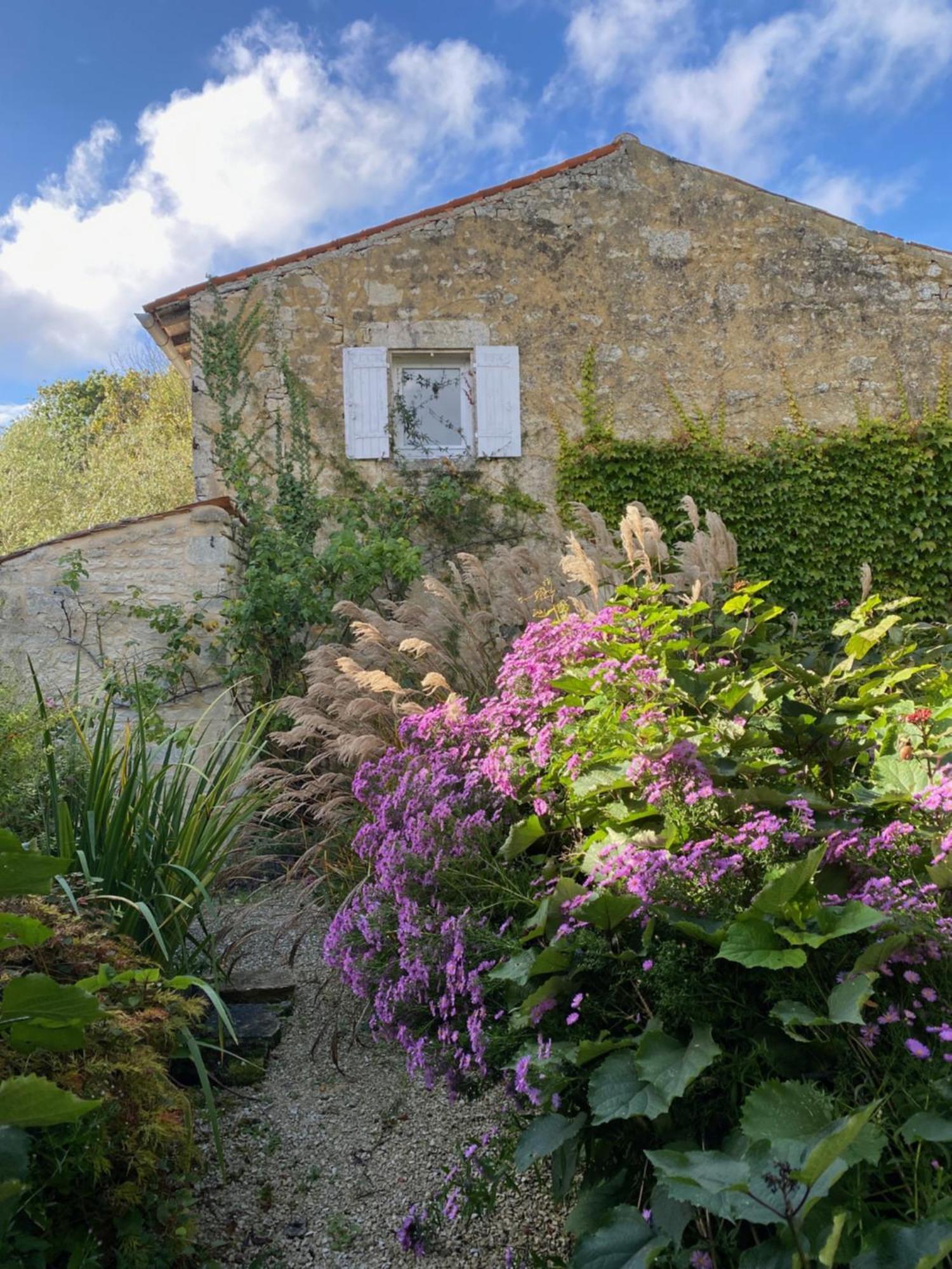 Aux Agapanthes, Chambres D'Hotes Charentaises De Charme Avec Piscine Aumagne Exterior photo
